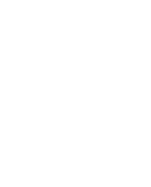 iad México
